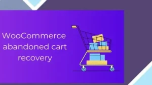 WooCommerce Abandoned Cart Recovery Premium