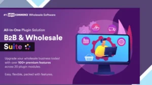 WooCommerce B2B and Wholesale Suite