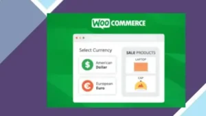 WooCommerce Currency Switcher
