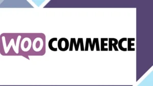 WooCommerce Discontinued Products