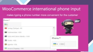 WooCommerce International Phone Input
