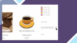 WooCommerce Multi Currency Store