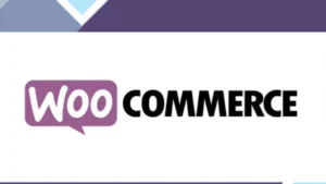 WooCommerce Payment Reminder