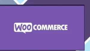 WooCommerce Product Documents