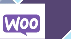 WooCommerce Purchase Order Gateway