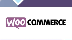 Woocommerce Split Order