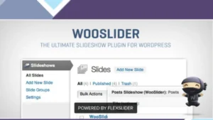 WooCommerce WooSlider Plugin