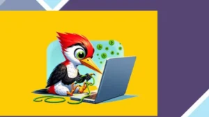 Woody Code Snippets