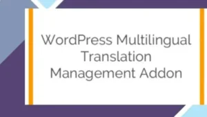 WordPress Multilingual Translation Management Addon