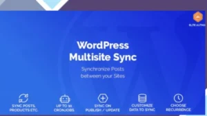 WordPress Multisite Sync