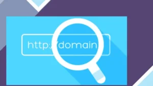 WP Domain Checker
