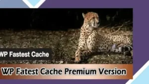 WP Fastest Cache Premium