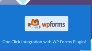 WP Forms Extension for AMP