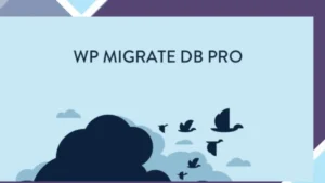 WP Migrate DB Pro