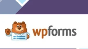 WPForms MailerLite