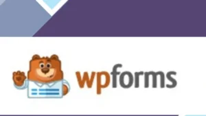 WPForms Salesforce