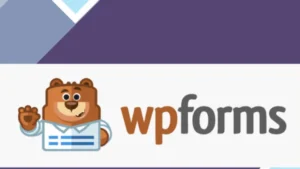 WPFroms - User Journey