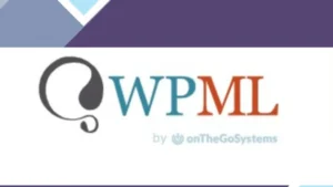 WPML ElasticPress