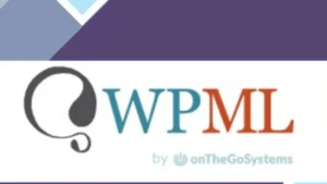 WPML WPForms Multilingual