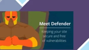 WPMU DEV Defender Pro