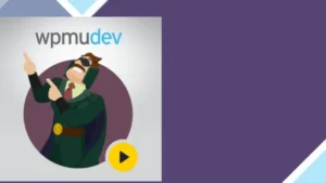 WPMU DEV Hustle