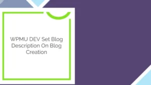 WPMU DEV Set Blog Description