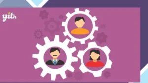 YITH Automatic Role Changer