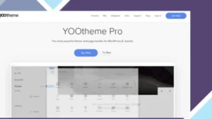 YOOtheme Pro for WP and Joomla