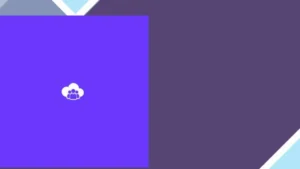 Youzify Member Types